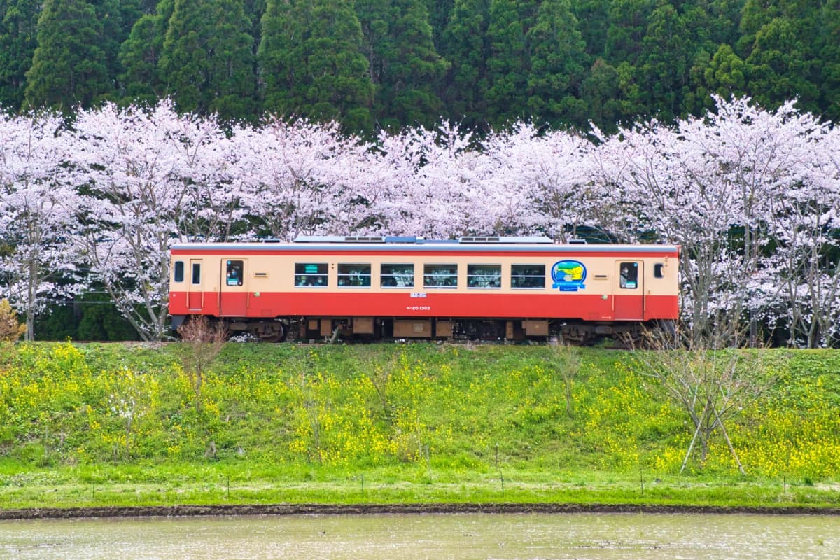 気候・環境