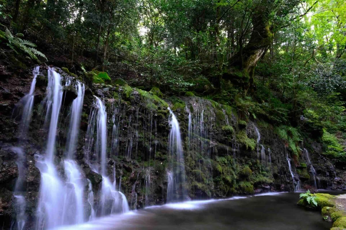 宮ノ下・小涌谷