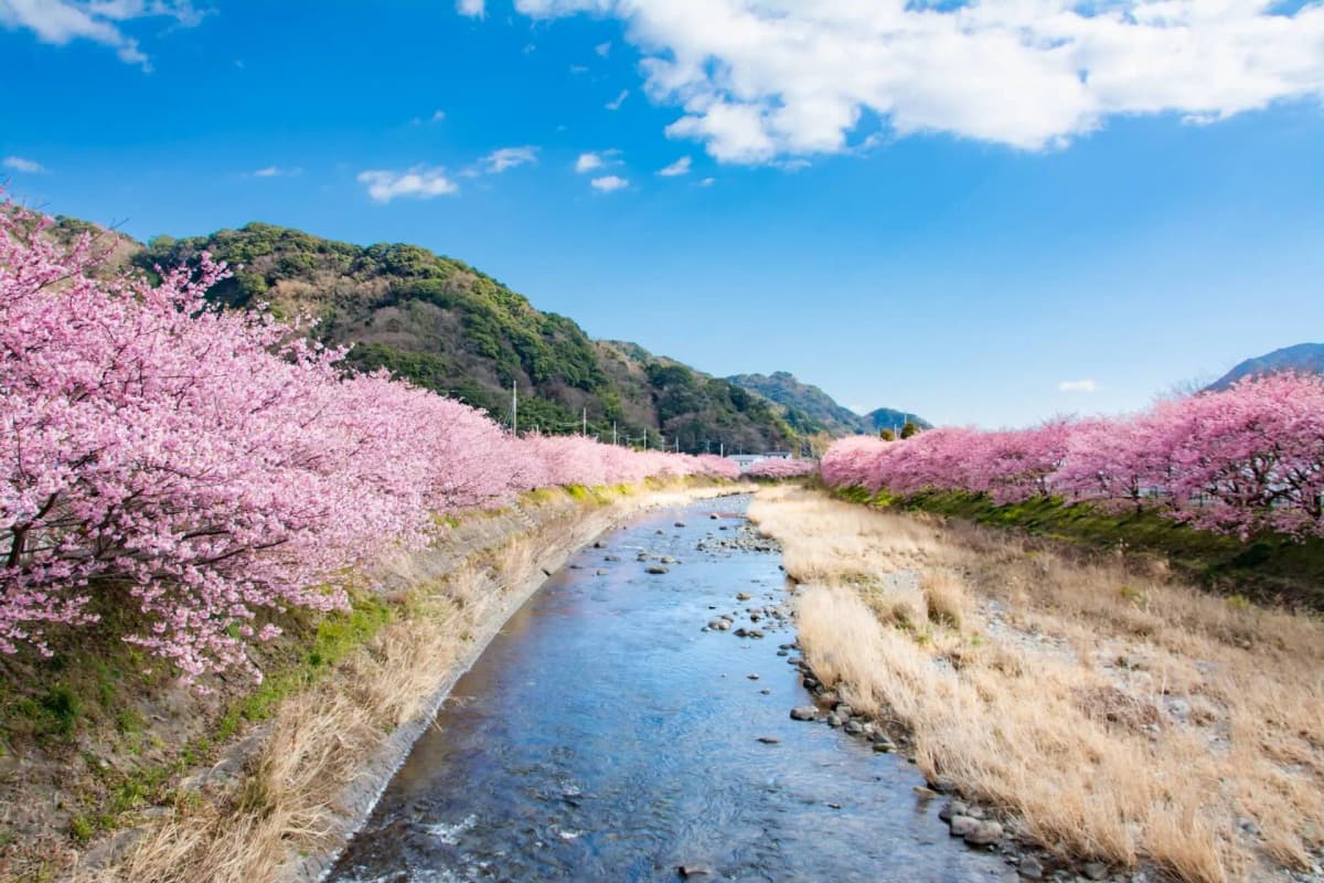 気候・環境
