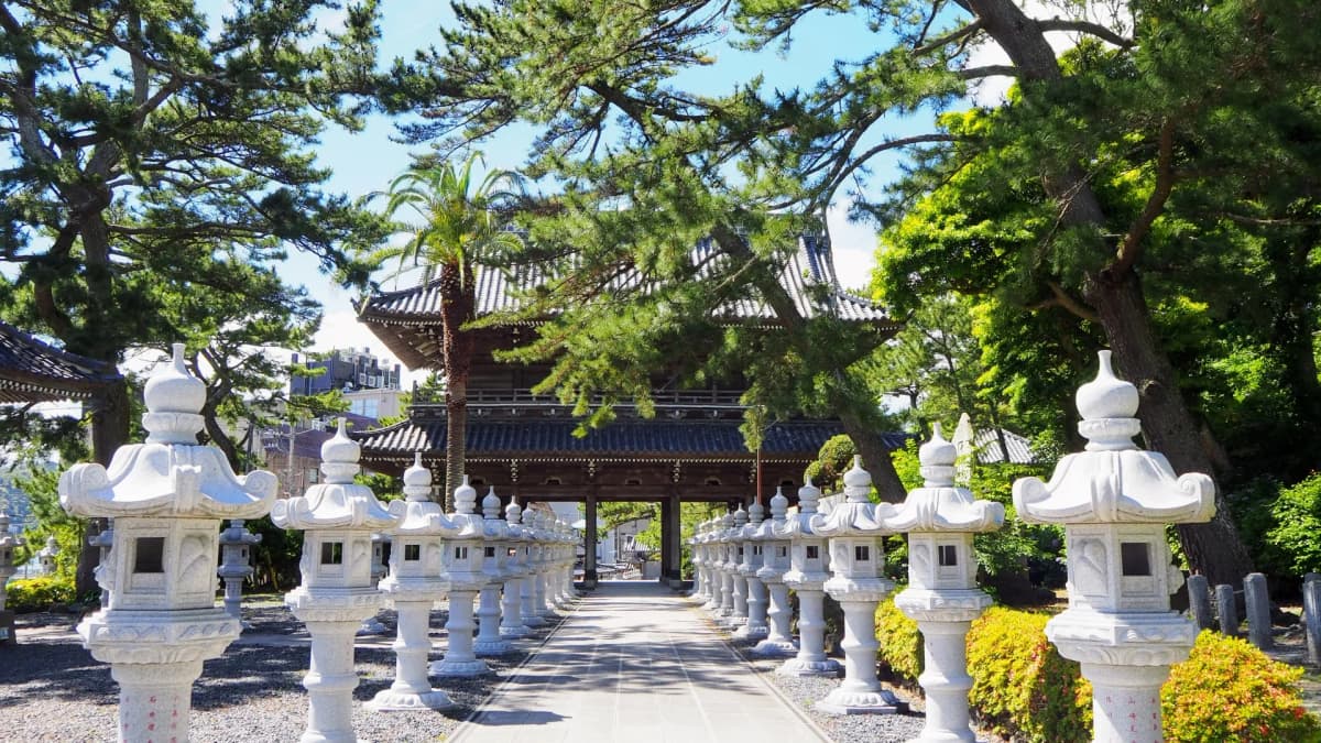 誕生寺