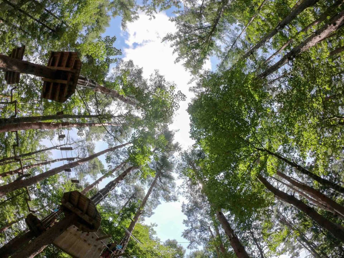 フォレストアドベンチャー・箱根