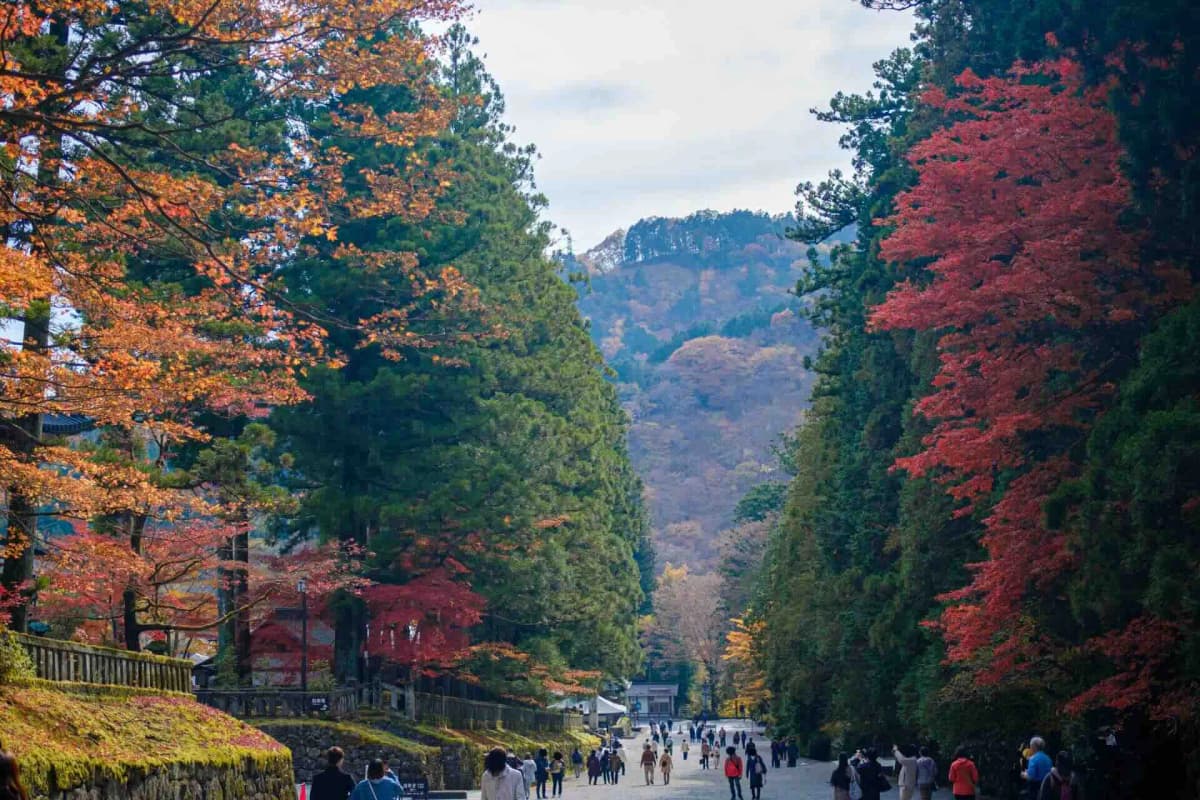 日光東照宮 - 紅葉の参道