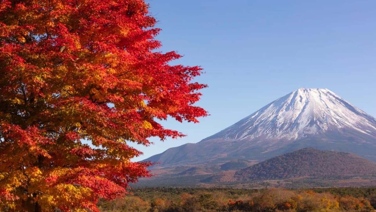 山梨という場所