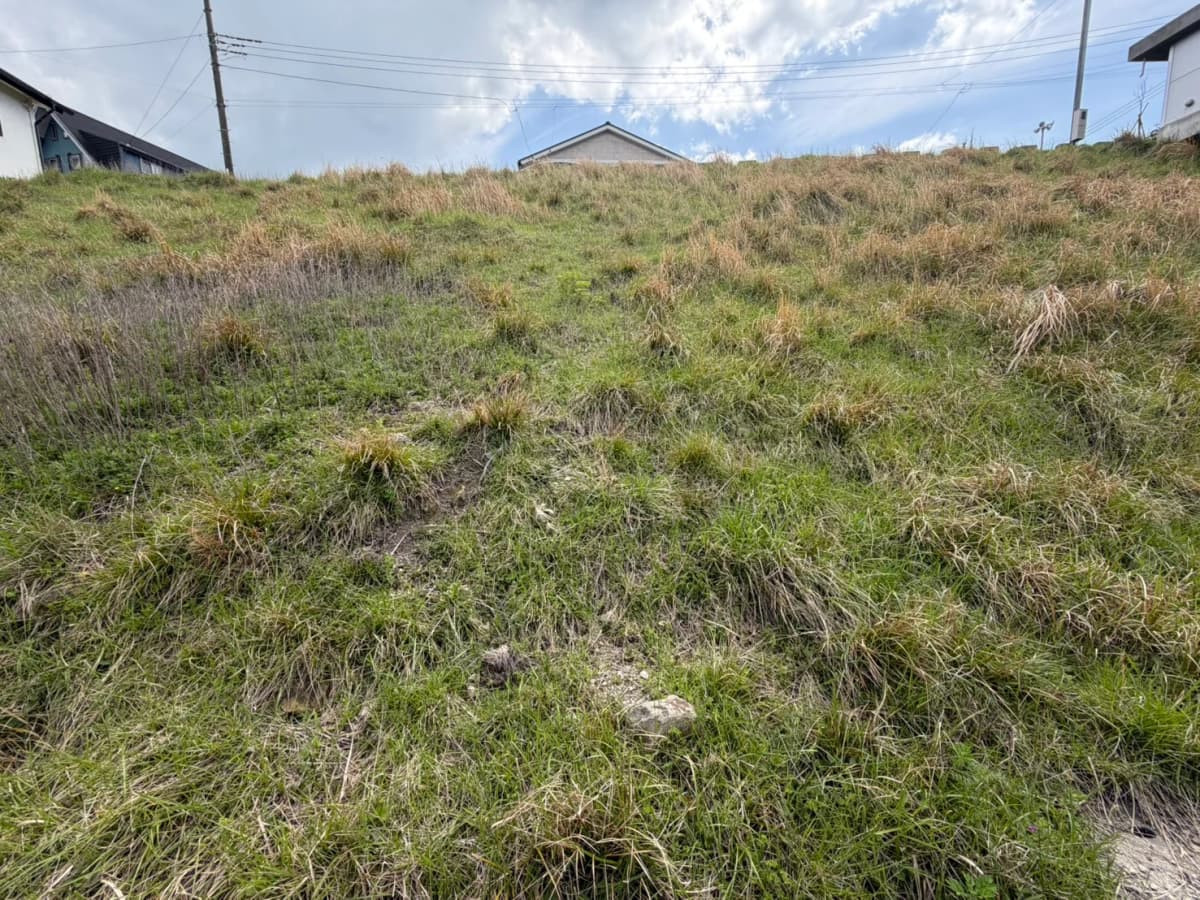 草地の広がる現況空地。傾斜のある敷地を見上げた様子