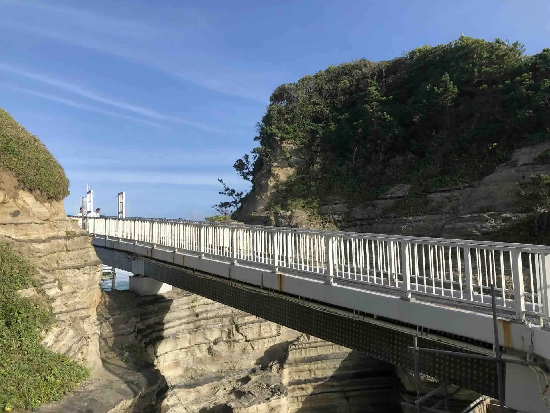 かつうら海中公園