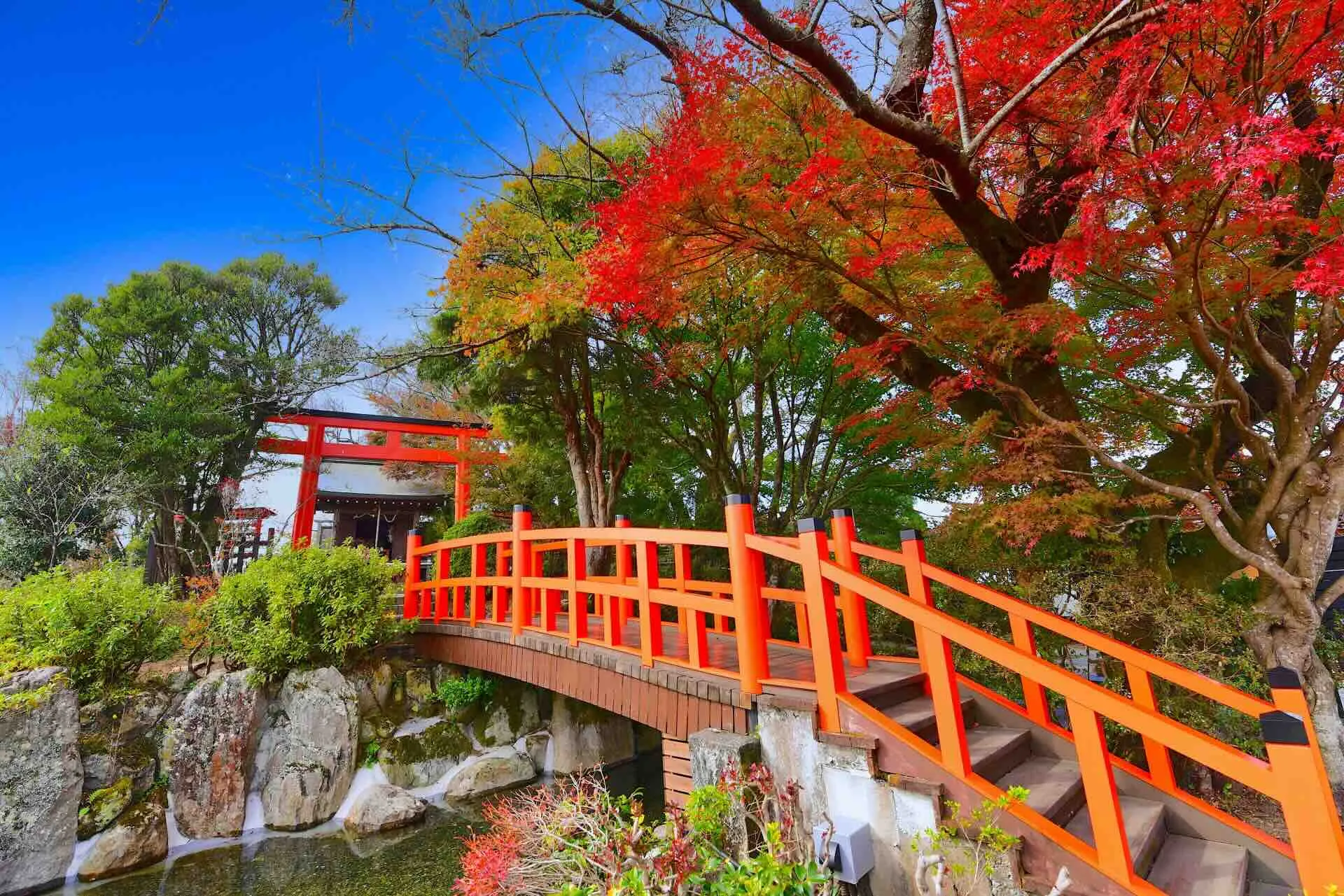 伊豆パノラマパーク