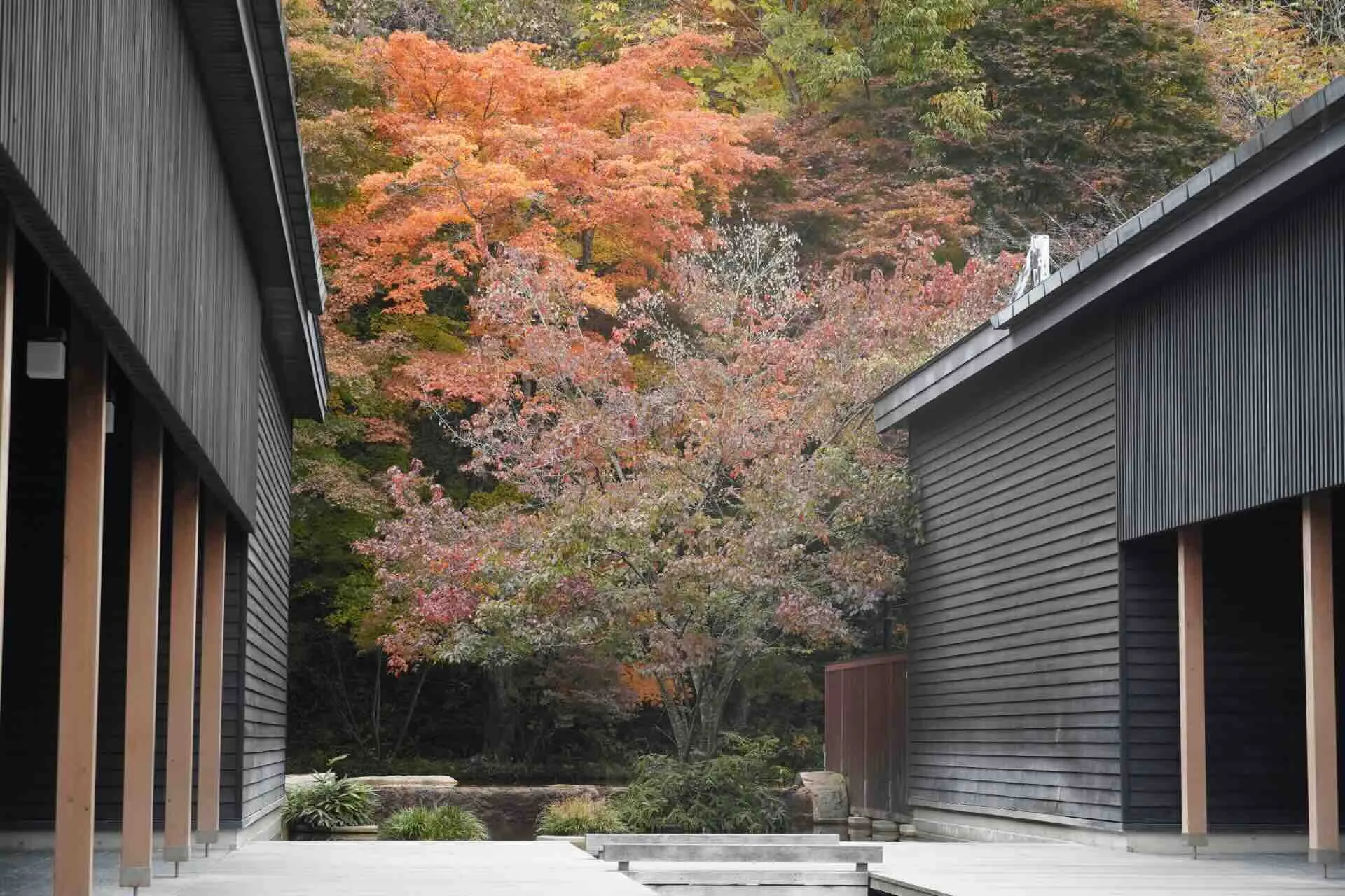 星野温泉 トンボの湯