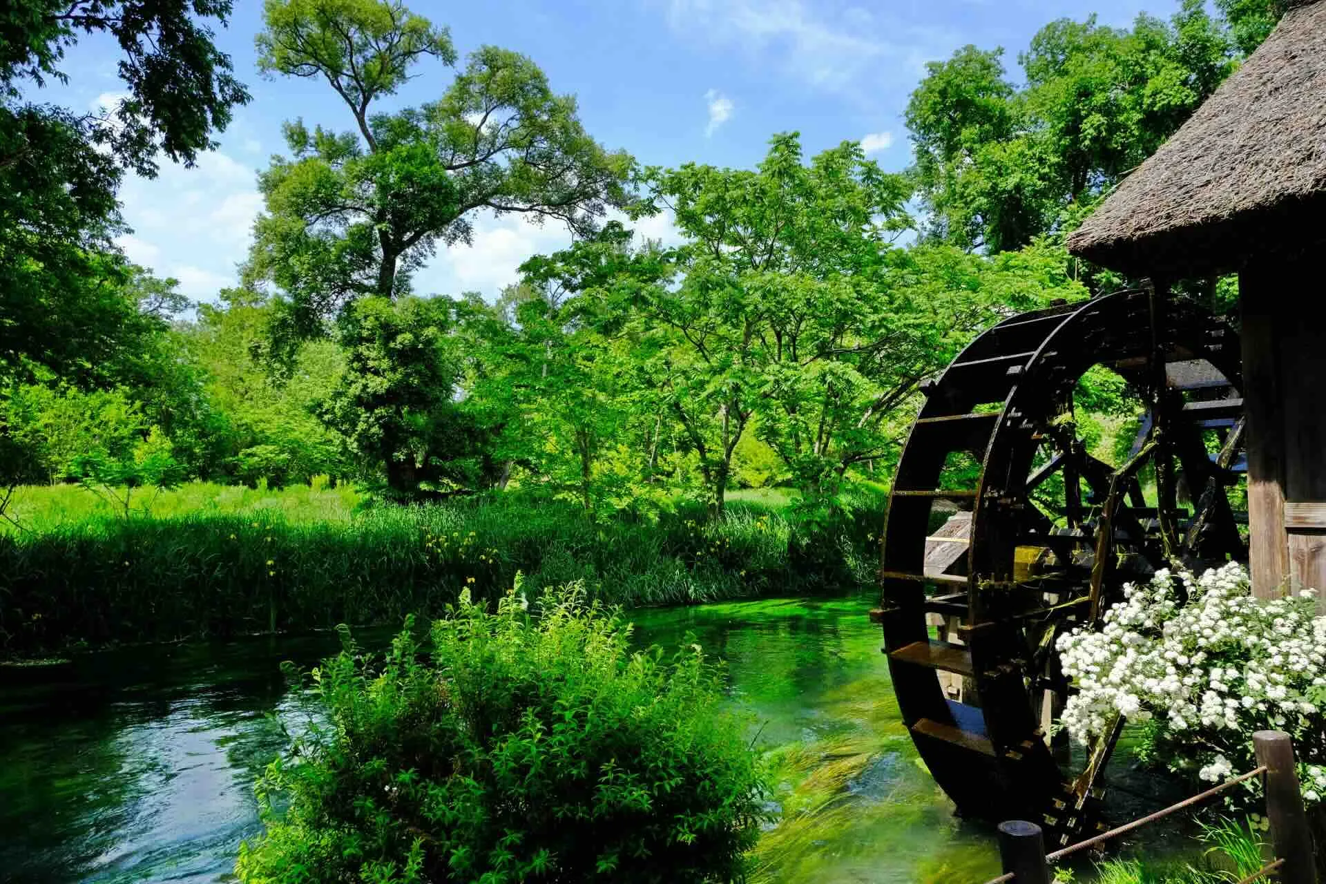 大王わさび農場