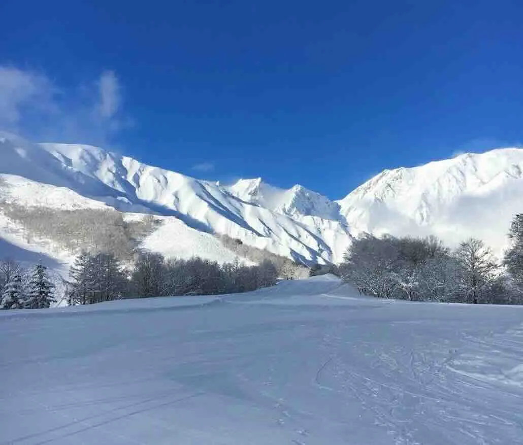 白馬八方尾根スキー場
