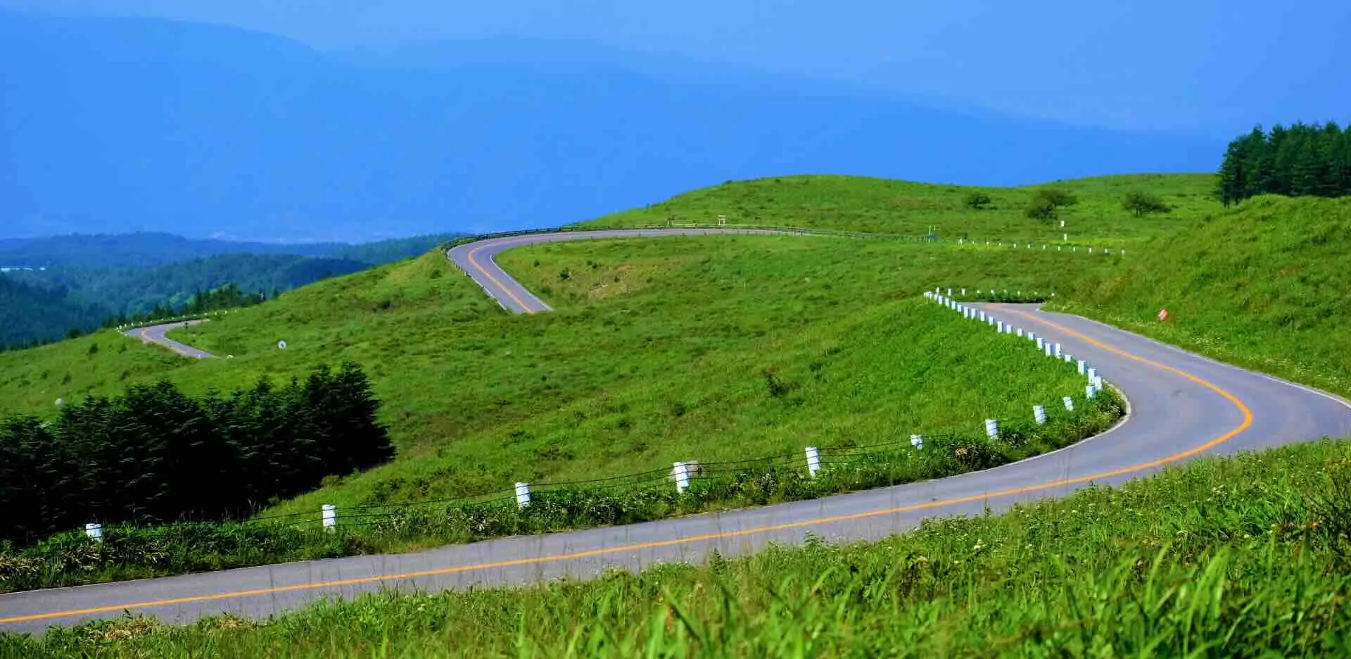 ビーナスライン