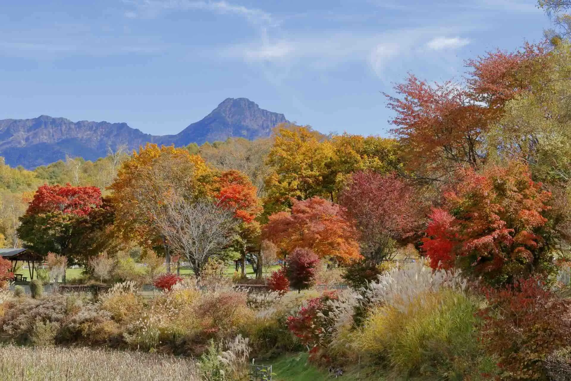 八ヶ岳自然文化園