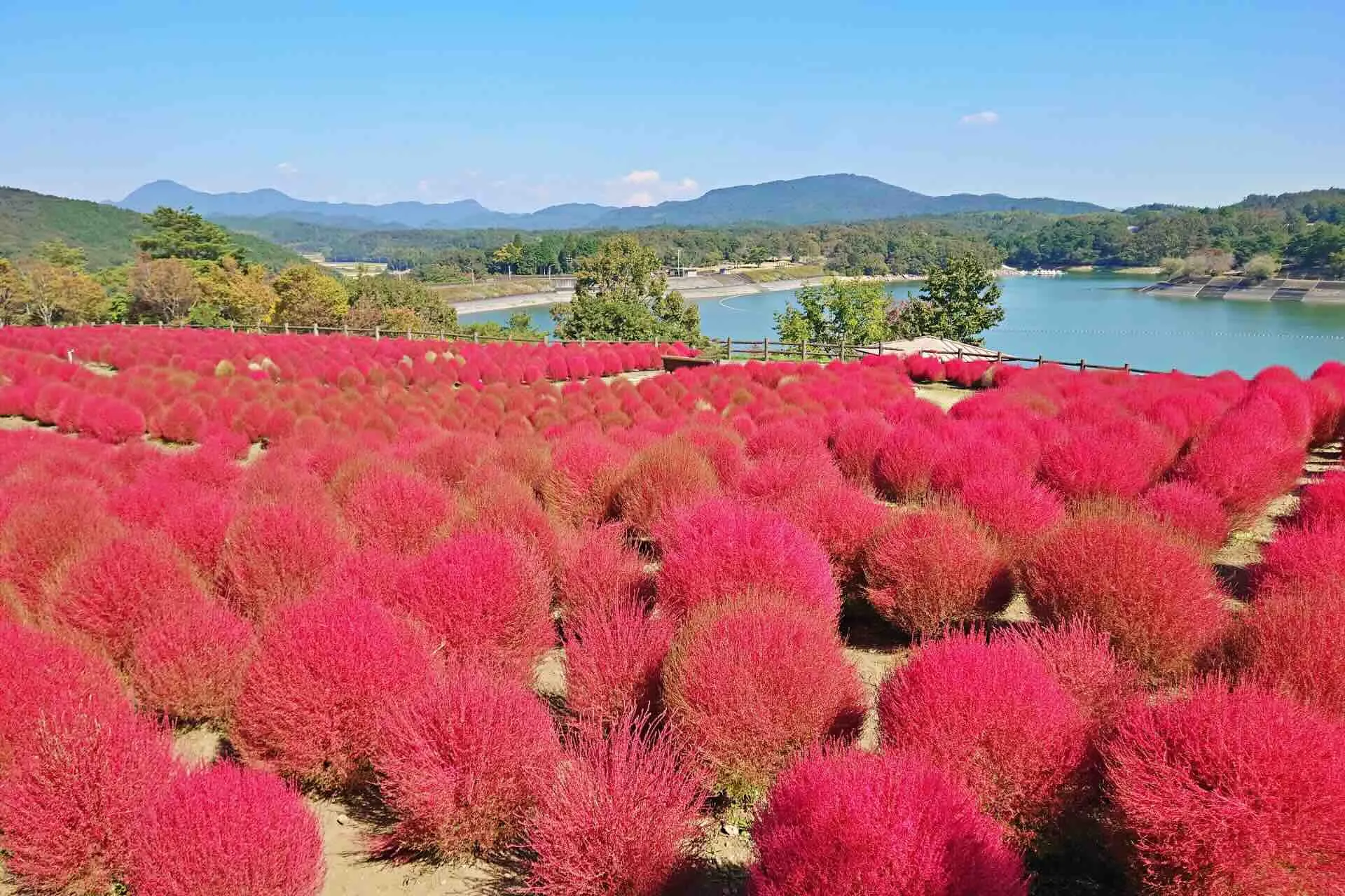 ニセコHANAZONOリゾート