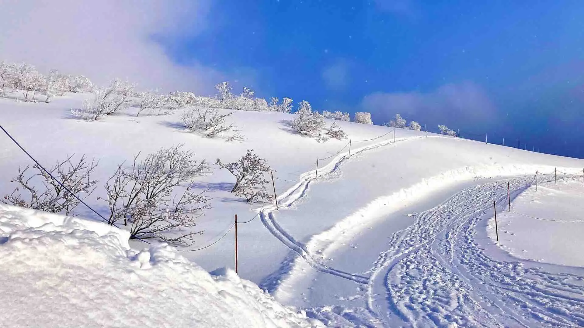 ニセコグラン・ヒラフスキー場