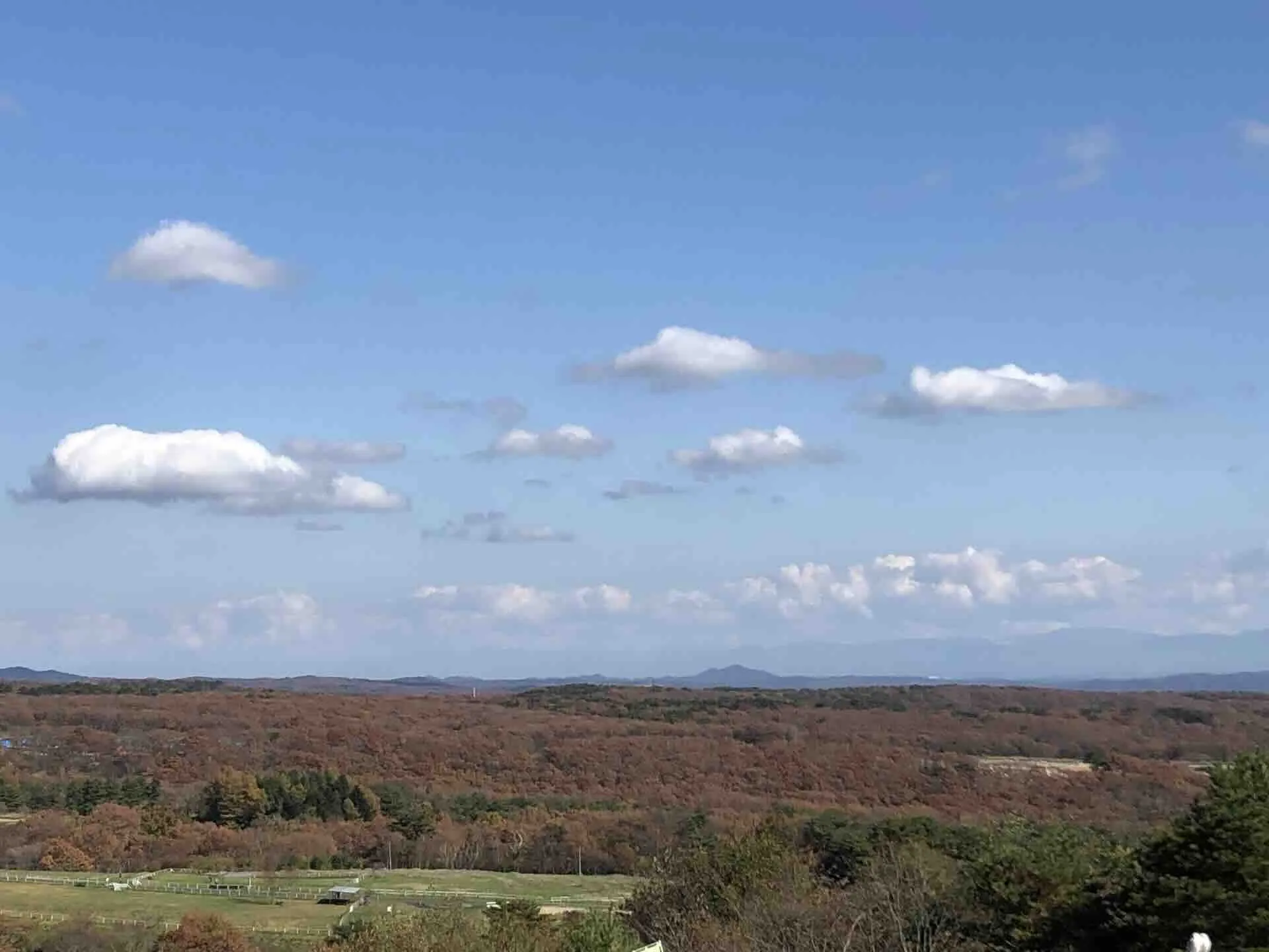 那須どうぶつ王国